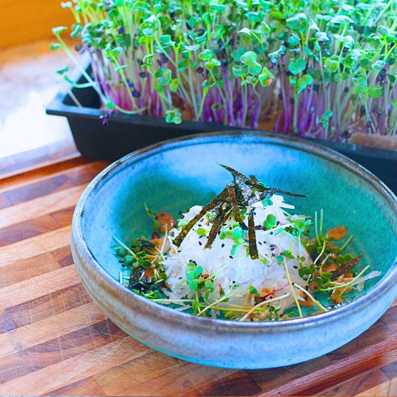 Japanese Daikon Salad with Sesame Dressing Hamama