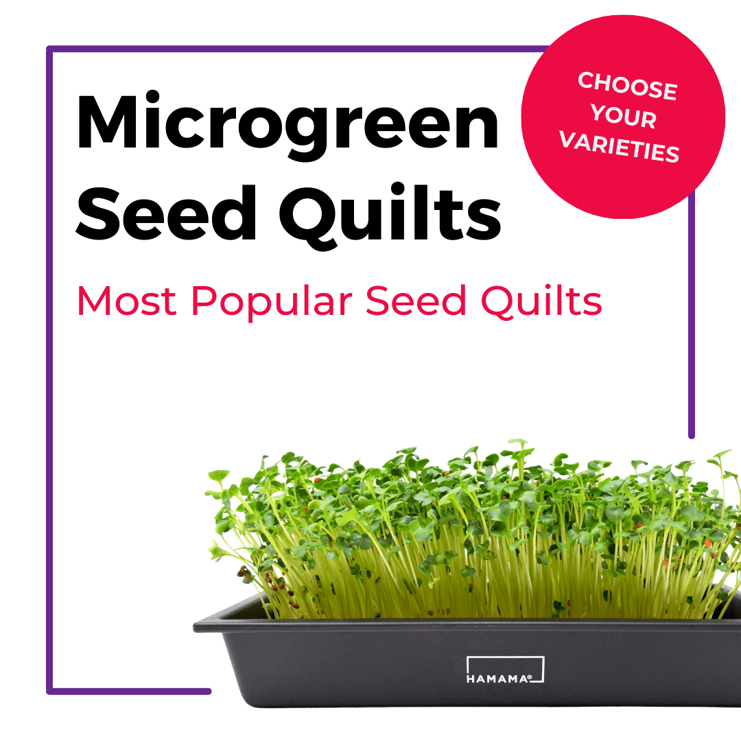 microgreen potting mix Classic Microgreen Seed Quilts 9 Seed Quilts