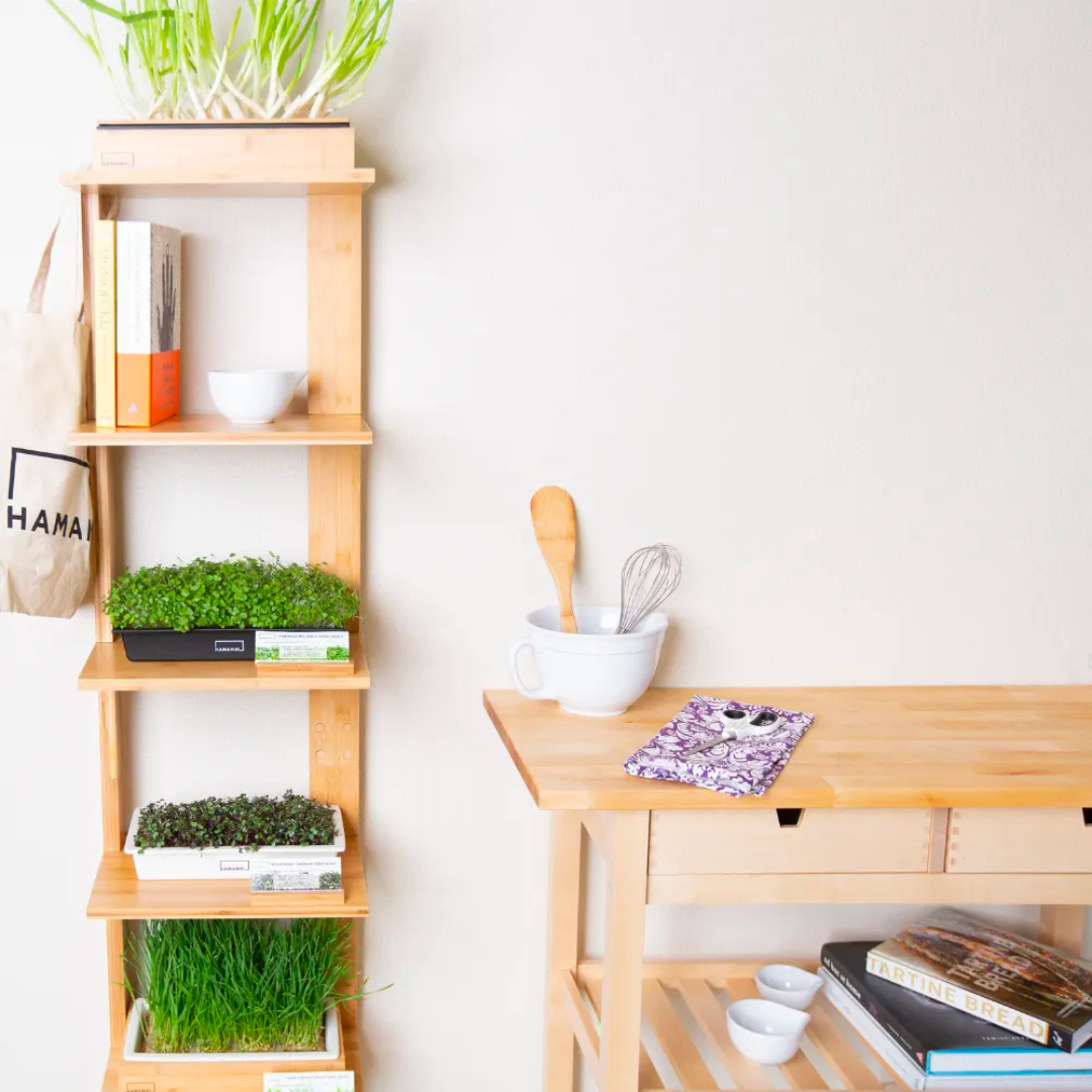 Grow Shelf – Hamama