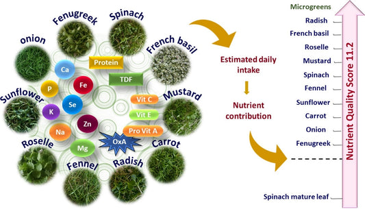 Nutrient composition, oxalate content and nutritional ranking of ten culinary microgreens
