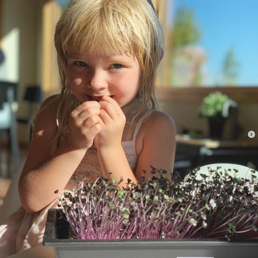 Superfood Lunchboxes