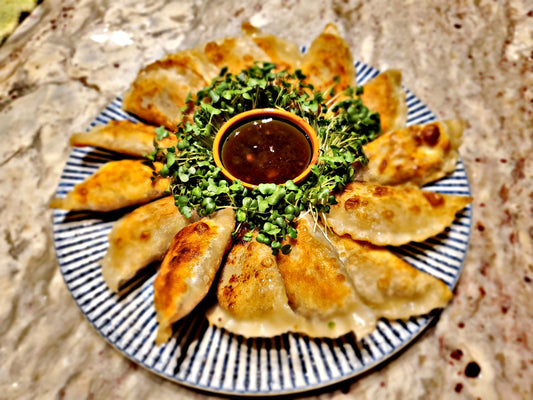 Mexican Potstickers