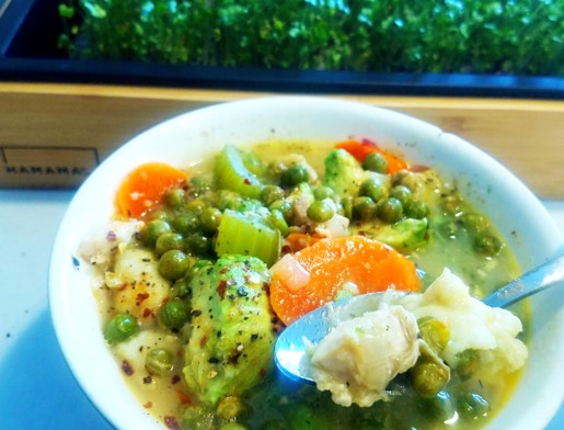 Allie Riebe‎‎_Chicken Dumpling Soup_HamamaRecipes_1.30.20