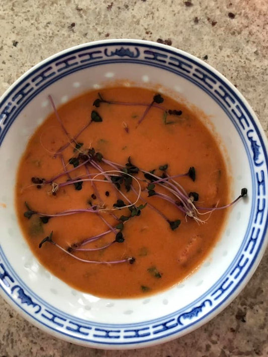 Anita Kyle Thomas_Micro Red Cabbage Gazpacho_HamamaRecipes_9.11.19