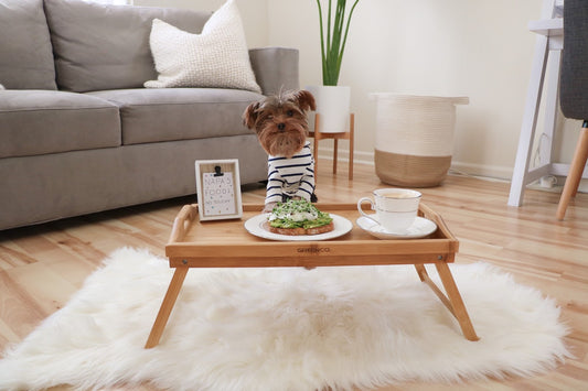 Napa the Yorkie’s 5 Star Avocado Toast in 3 steps!