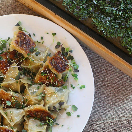 Chicken Bok Choy Wontons