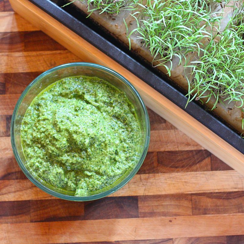 ParsleyDill Pesto Hamama