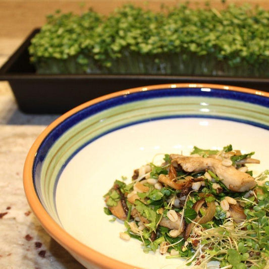 Herby Microgreen Barley Salad with Butter Browned Mushrooms & Shallots
