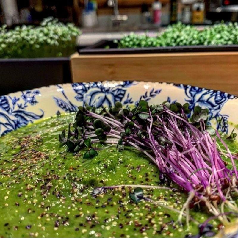 Alkalizing Detox Soup