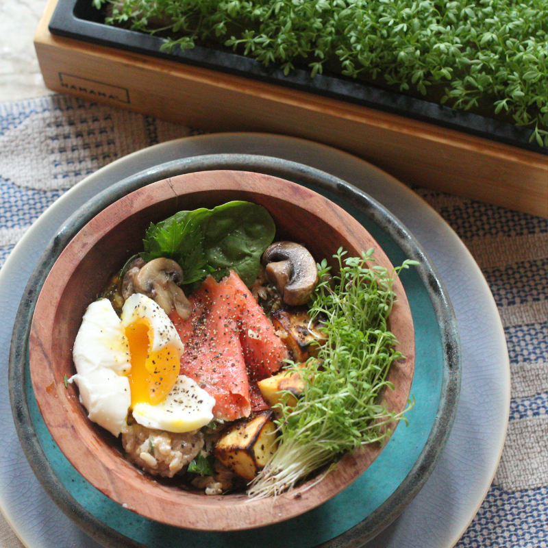 Smoked Salmon Breakfast Bowl with Garden Cress Microgreens