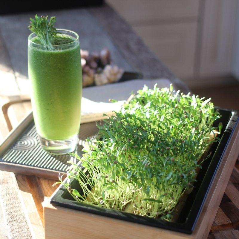 Detox Cilantro Smoothie