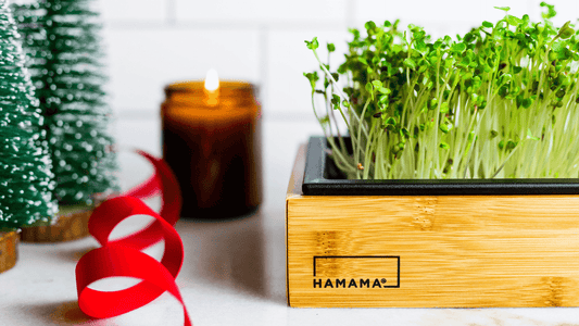 2023 Hamama Holiday Gift Guide