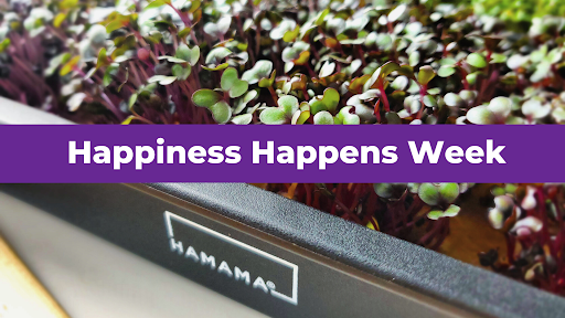 Happy Happiness Happens Week!
