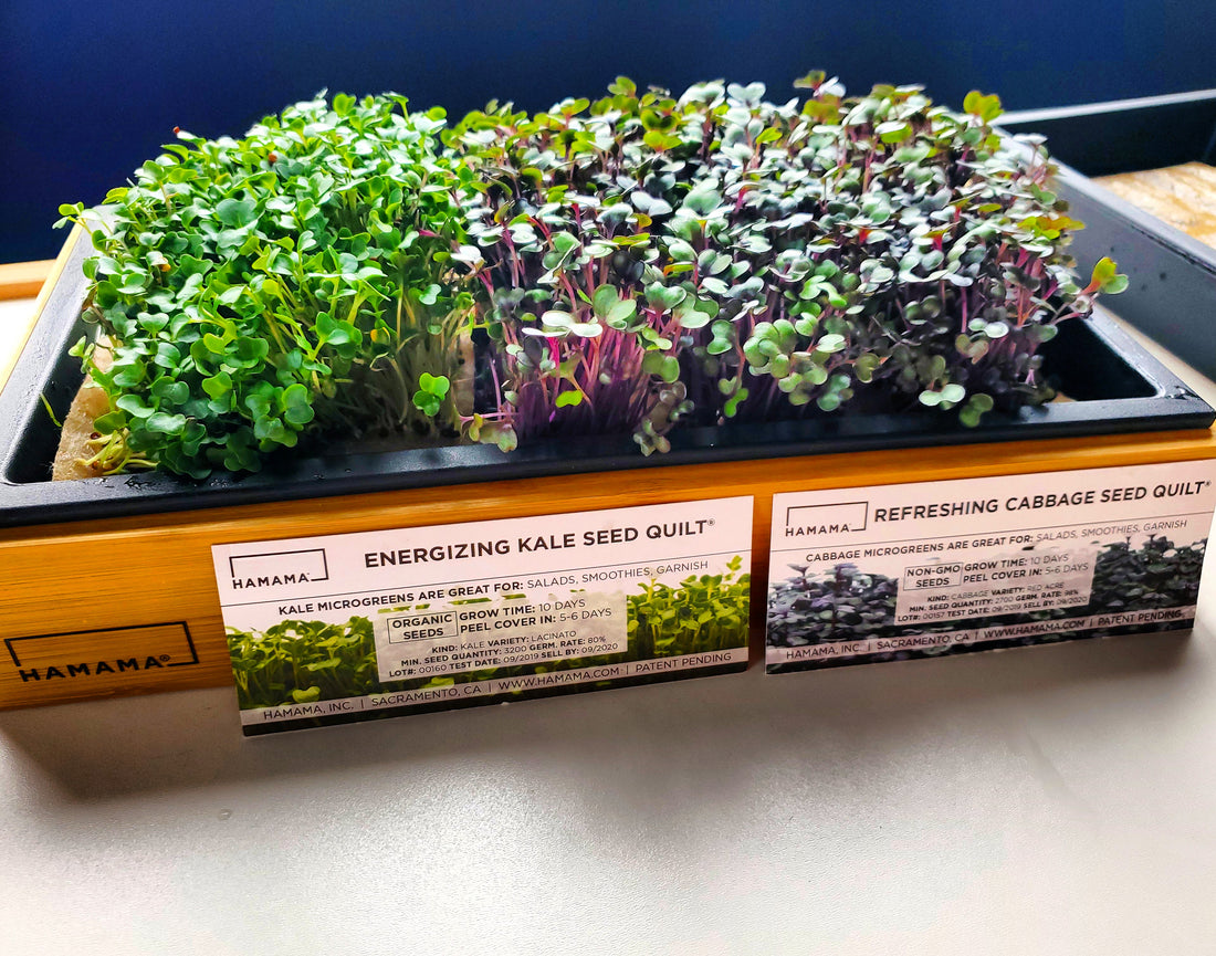 Hamama Hacks: Mix-and-Match Harvests