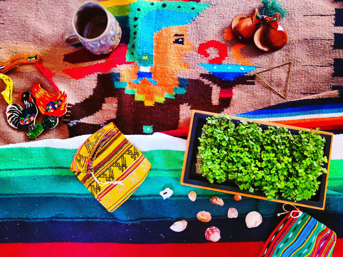 Employee Spotlights- Hispanic Heritage Appreciation