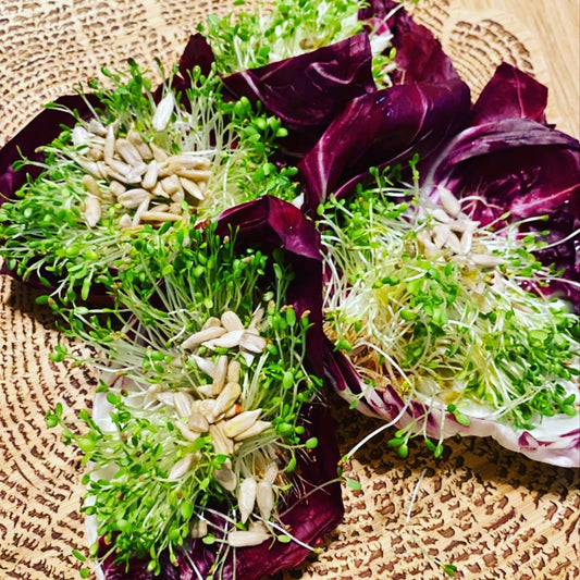 Radicchio Clover Salad Bowls