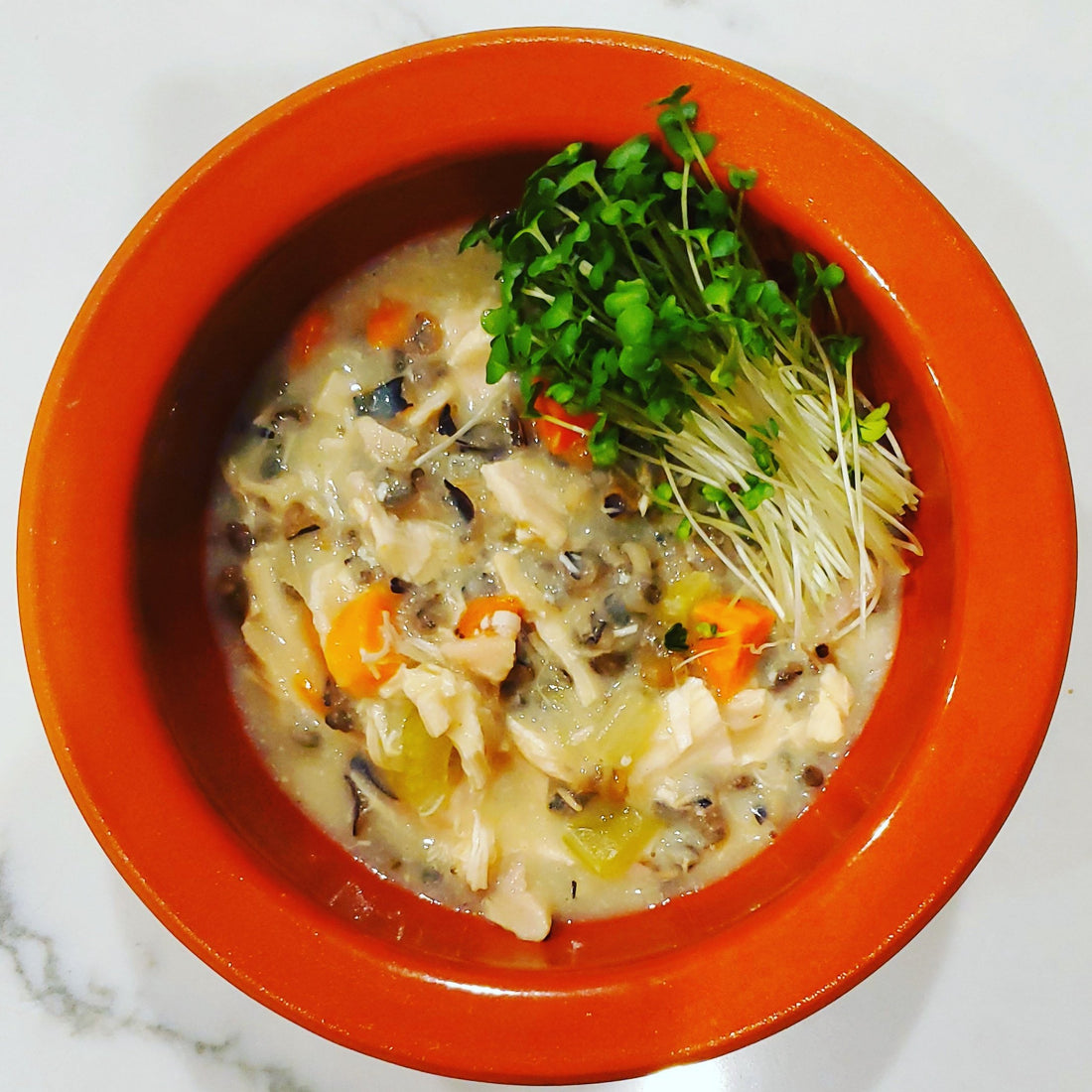 Hearty Chicken & Wild Rice Soup