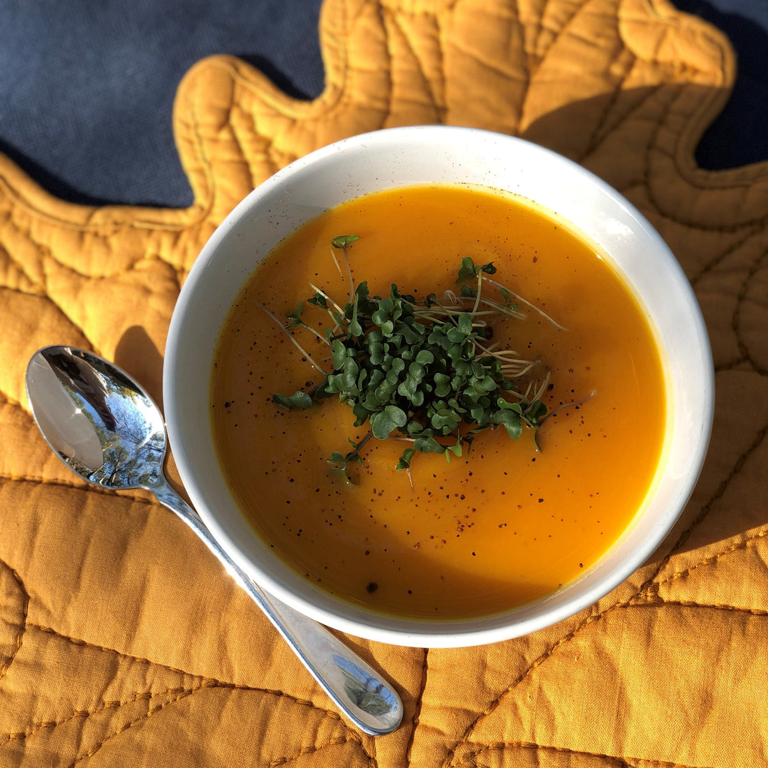 Butternut Squash Soup