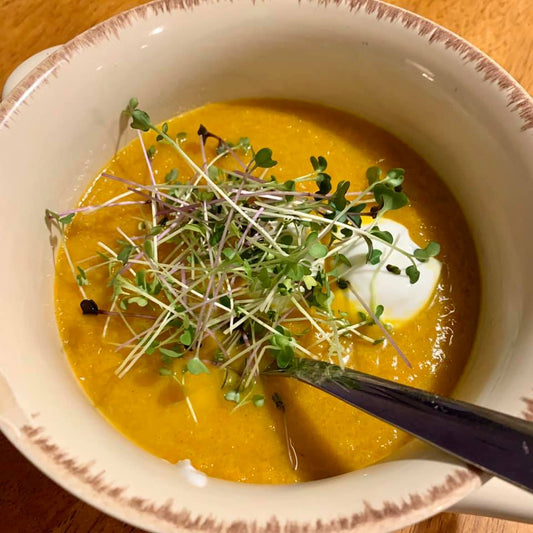 Jen Auschwitz‎‎‎_Carrot Fennel Soup_HamamaRecipes