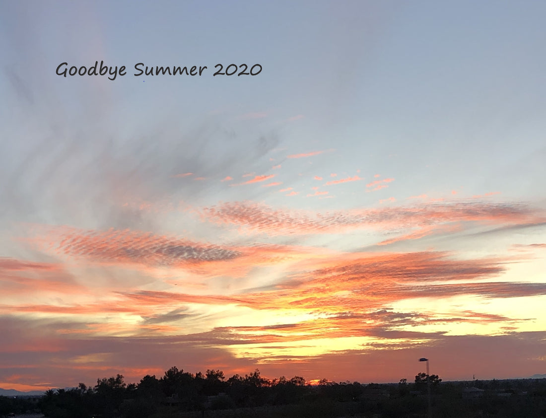 A Lookback at Summer 2020