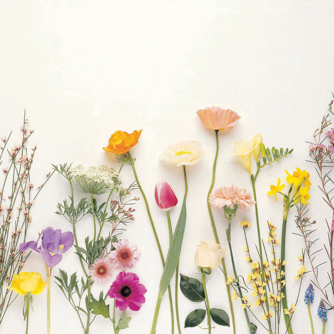 Happy Spring!