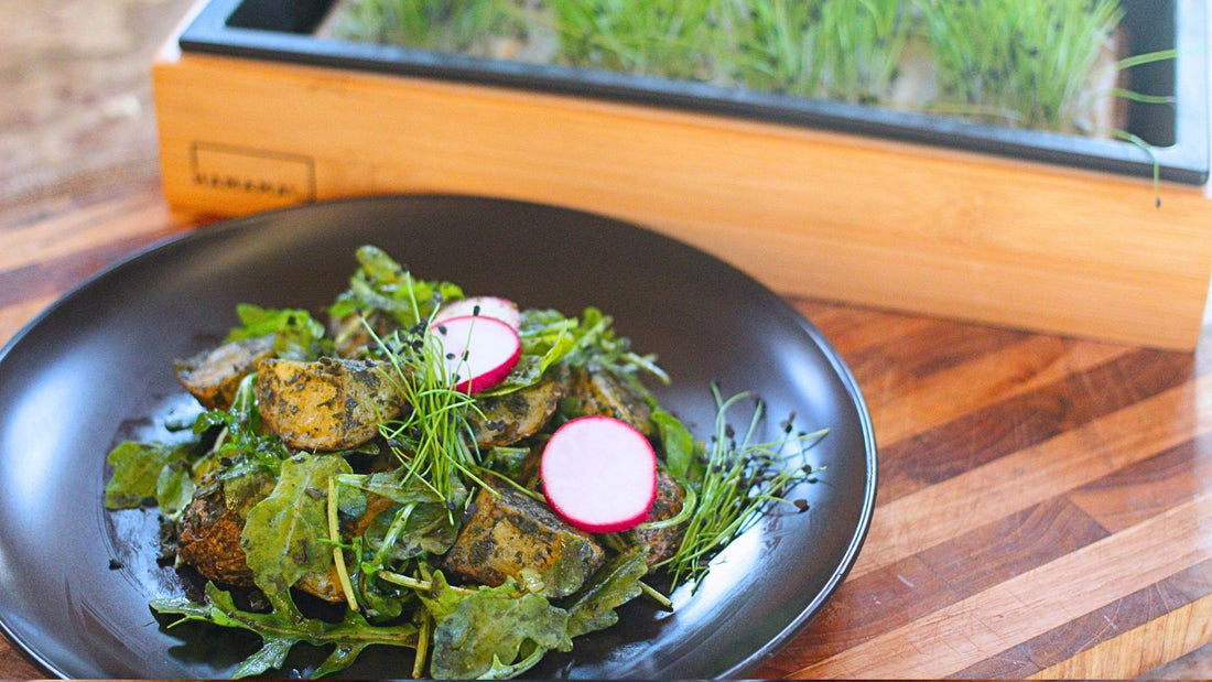 Arugula Pesto Potato Salad