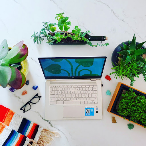 Indoor Plant Effects on Mental Health