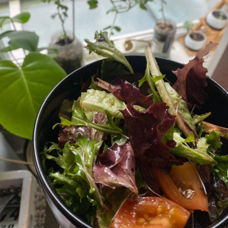 Caprese Salad with Peppery Arugula Microgreens