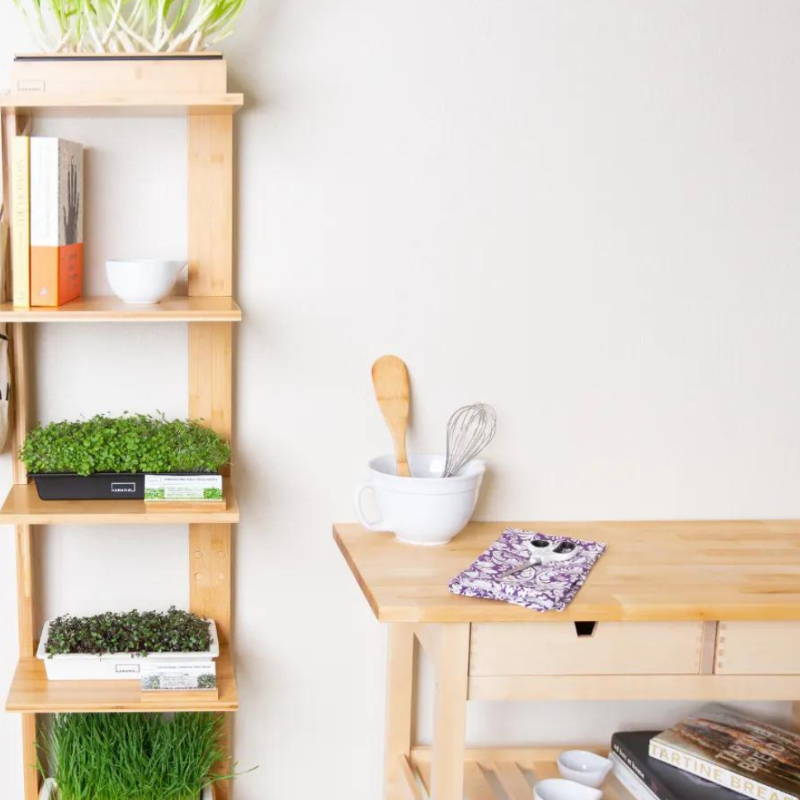 5 Reasons to Skip the Store and Grow your Own Microgreens