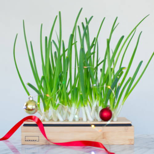 Grow Coach Holiday Gift Picks