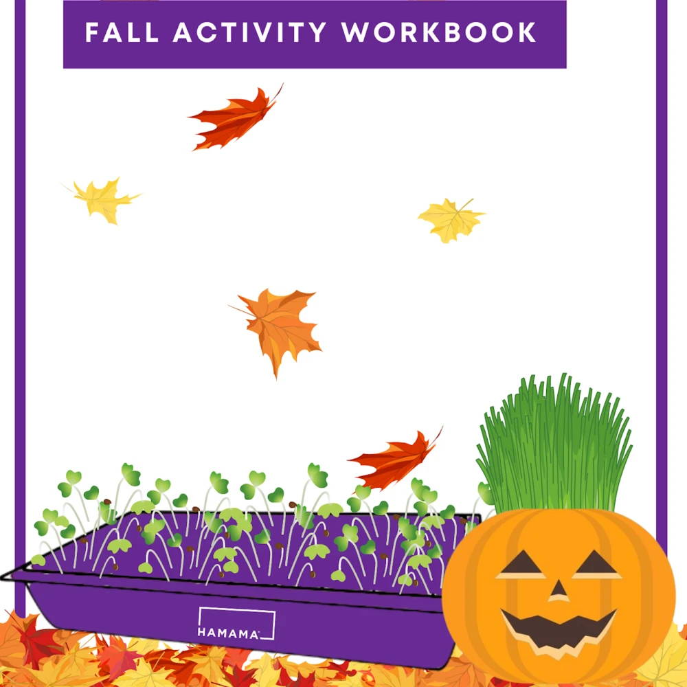 Kid's Fall Activity Workbook 🎃🦃🍁