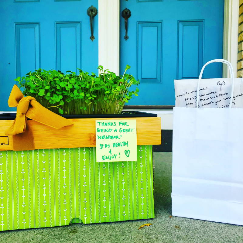 Happy 'Random Act of Kindness Day'!