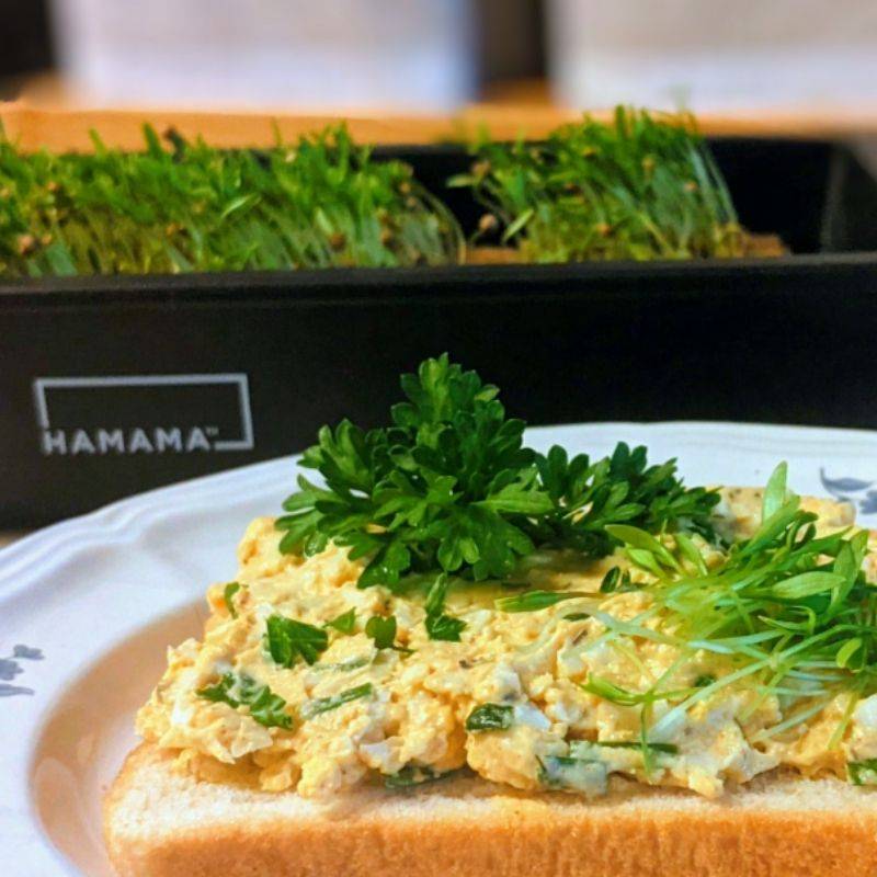 Avocado Egg Salad