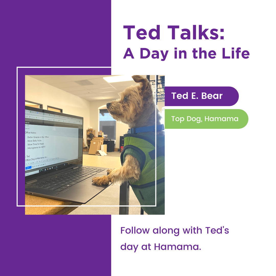 Ted Talks: A Day in the Life