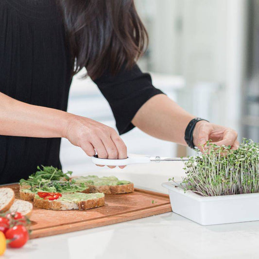 6 Reasons to Cook at Home