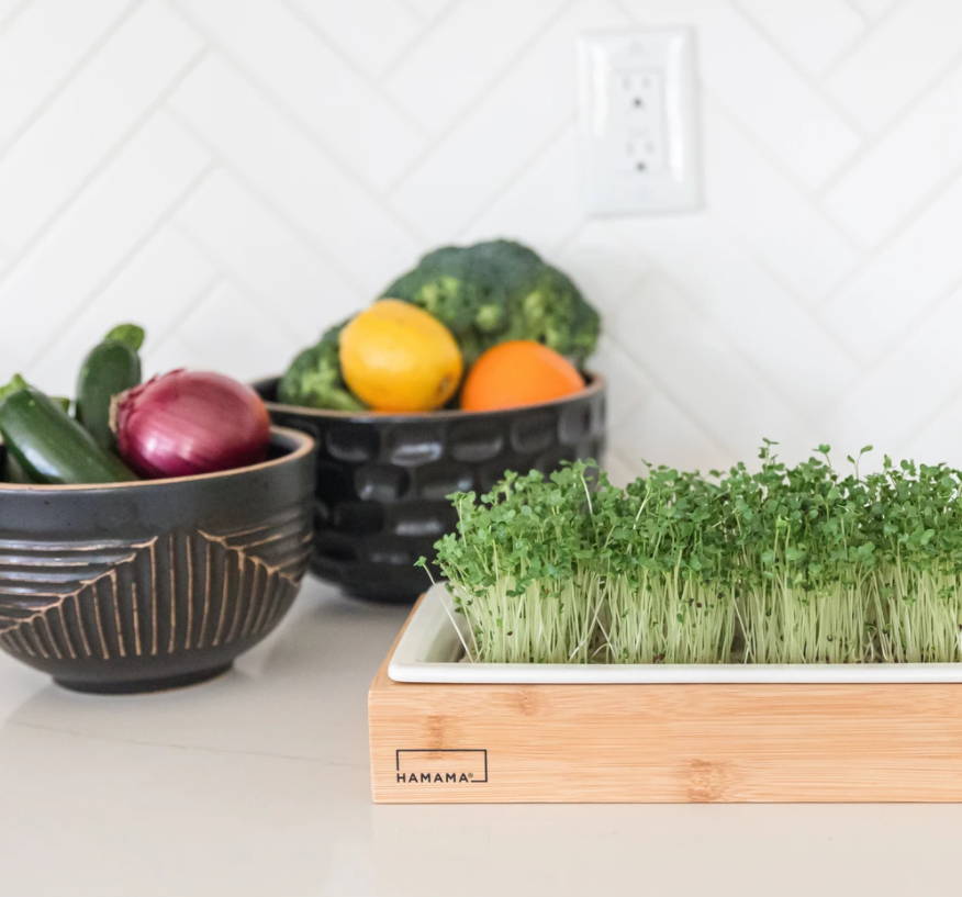 Summer Growing Tips