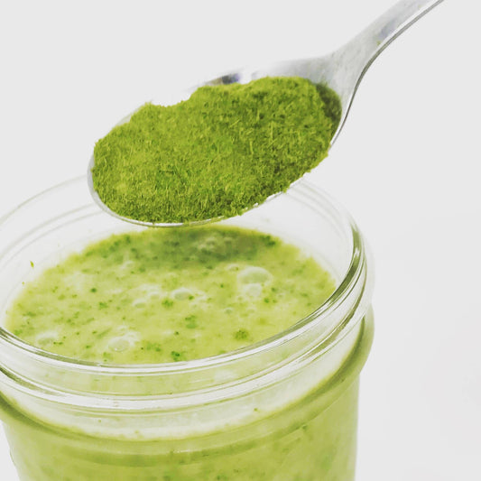 How To Make Wheatgrass Powder