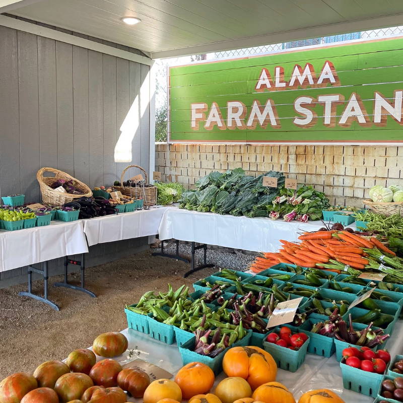 Spotlight: Alma Backyard Farms
