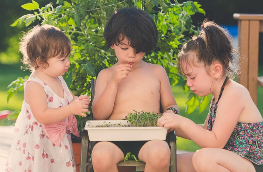 Microgreen Growing for Kids!