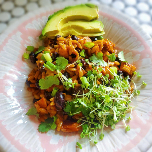 Southwest Orzo Salad