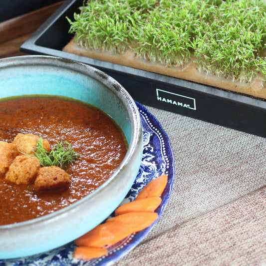 Slow Cooker Roasted Red Pepper Smoked Gouda Tomato Bisque