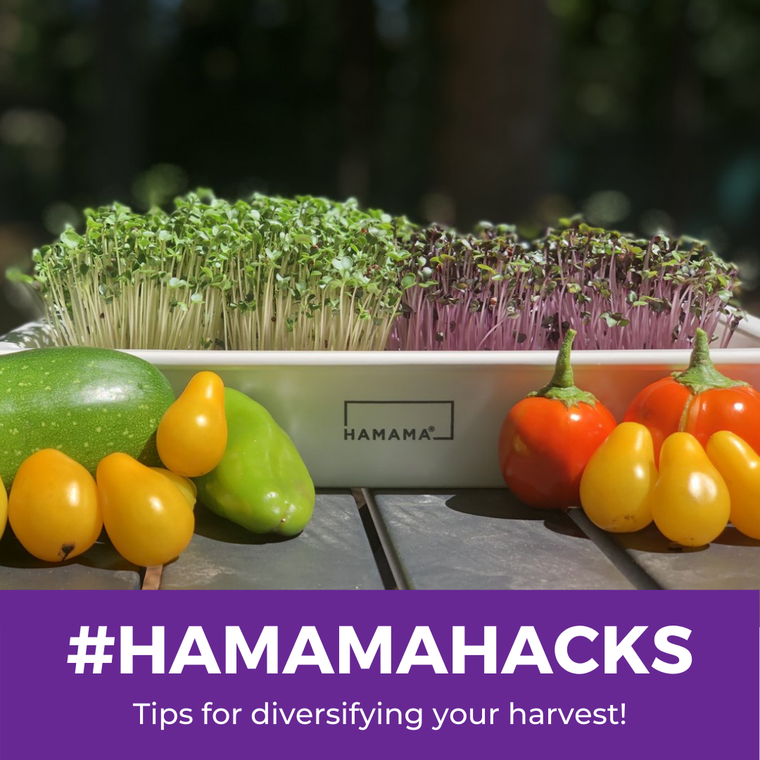 Hamama Hacks: #5 How to Store Unused Seed Quilts