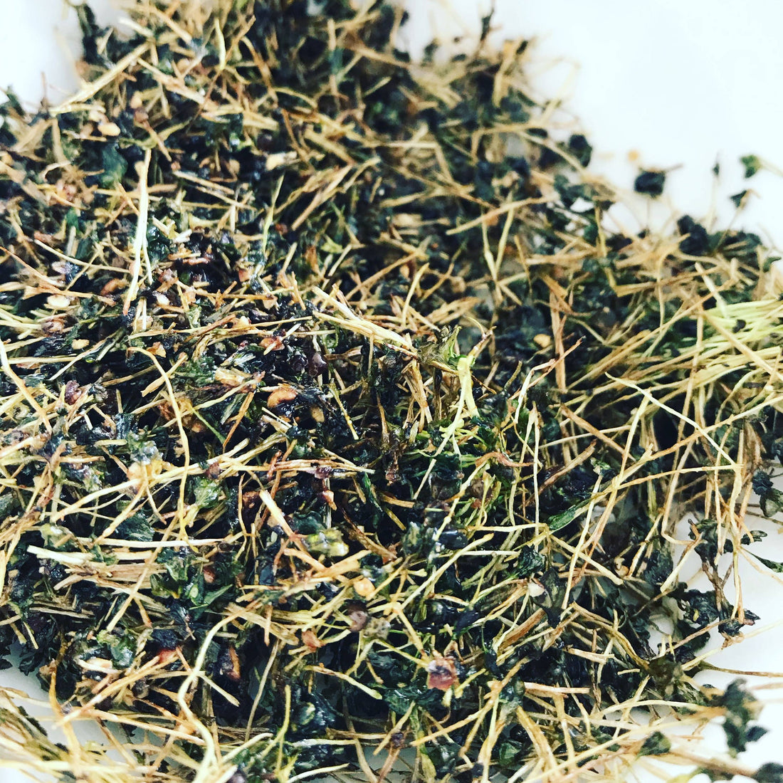 How To Make Micro Kale Chips