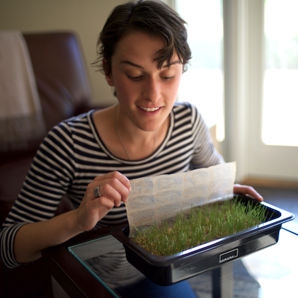 How To Grow Different Types Of Microgreens At Home With HAMAMA