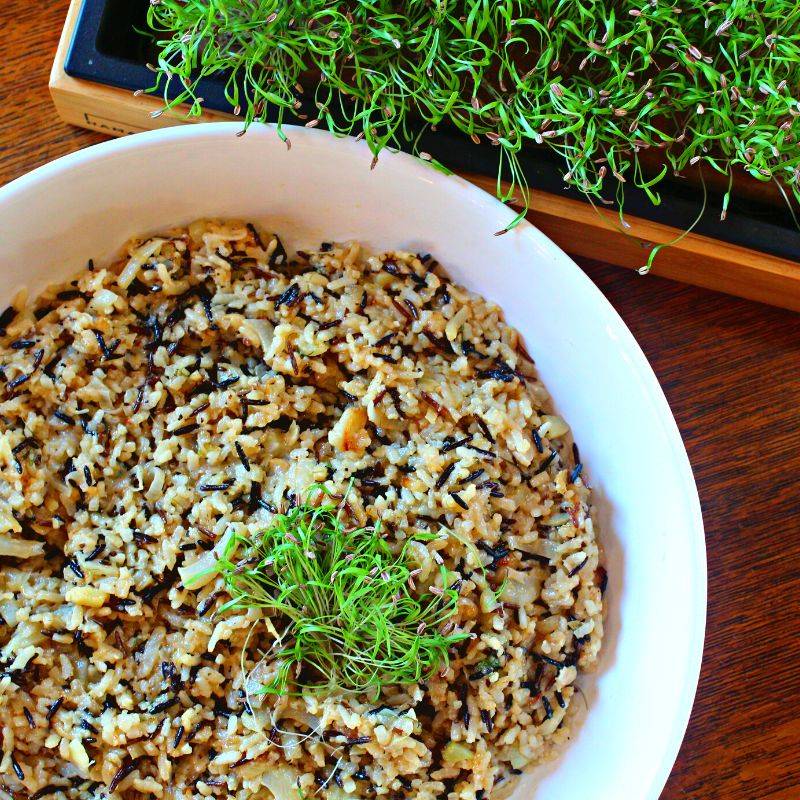 Creamy Fennel Risotto