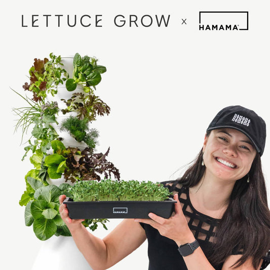 Hamama x Lettuce Grow