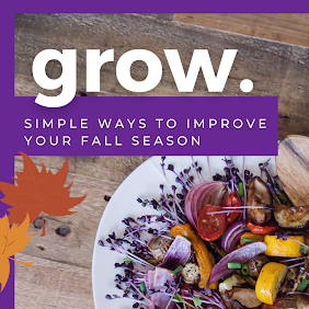 Simple Ways to Improve Your Fall Season