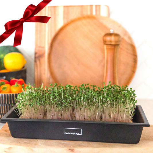 Microgreen Kit - Gift