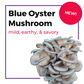 Mushroom Grow Kit