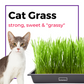 Cat Grass Seed Quilts